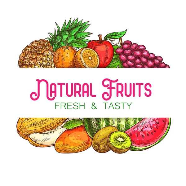 Natural Fruits Vector Banner Frame Sketch Pineapple Orange Apple Grapes — Stock Vector