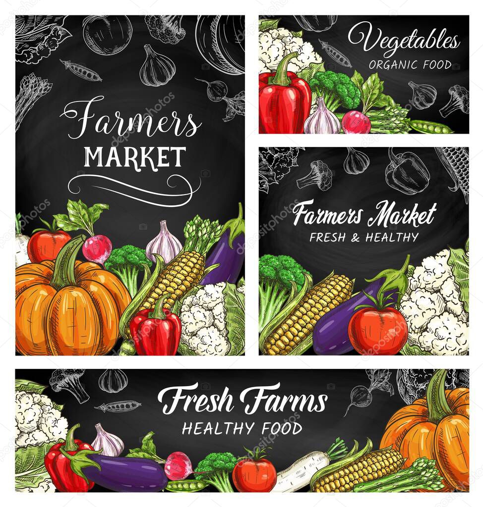 Fresh vegetable and veggie food vector sketches of farmer market blackboards. Organic farm tomato, bell pepper, broccoli and garlic, asparagus, pumpkin, radish and cauliflower, ripe corn and green pea