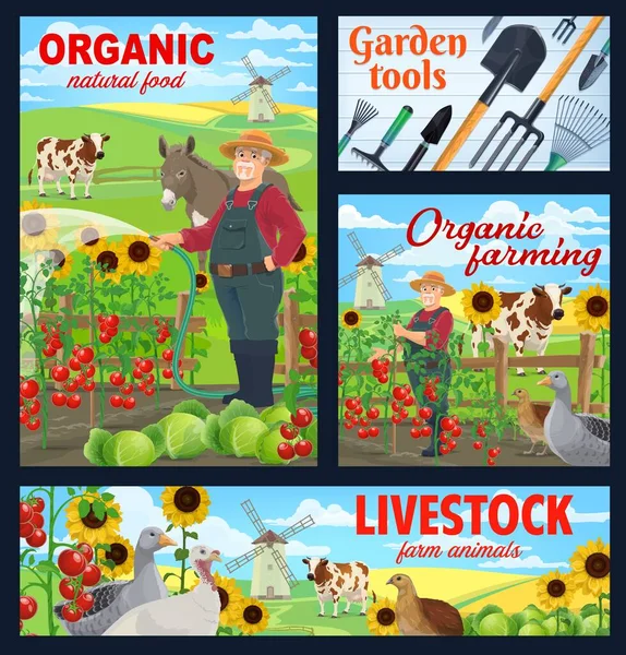 Органическое Земледелие Сельскохозяйственные Животные Плакаты Садовыми Инструментами Фермеры Поливают Собирают — стоковый вектор