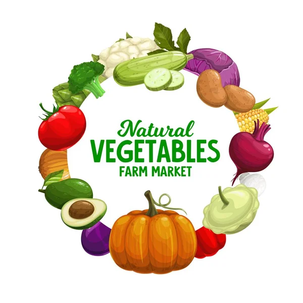Πανό Λαχανικών Πλαίσιο Χορτοφαγικών Λαχανικών Της Αγροτικής Αγοράς Συγκομιδή Φορέων — Διανυσματικό Αρχείο