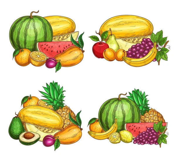 Fruit Boerderij Verse Oogst Schets Rijp Watermeloen Meloen Papaja Sinaasappel — Stockvector