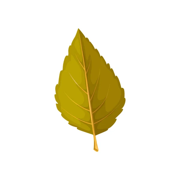 秋の木の葉 エルムの葉と秋の葉 ベクトル絶縁アイコン エルムの木 自然林 植物の乾燥した秋の葉 — ストックベクタ
