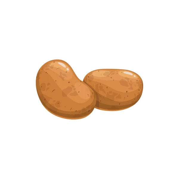 Brown Patates Douces Isolées Nourriture Végétale Vecteur Non Pelé Grand — Image vectorielle
