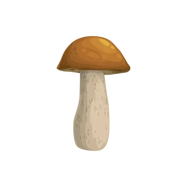 Μανιτάρι Boletus Cep Διάνυσμα Εικονίδιο Καρτούν Φυτικό Δασικό Φυτό Καφέ — Διανυσματικό Αρχείο