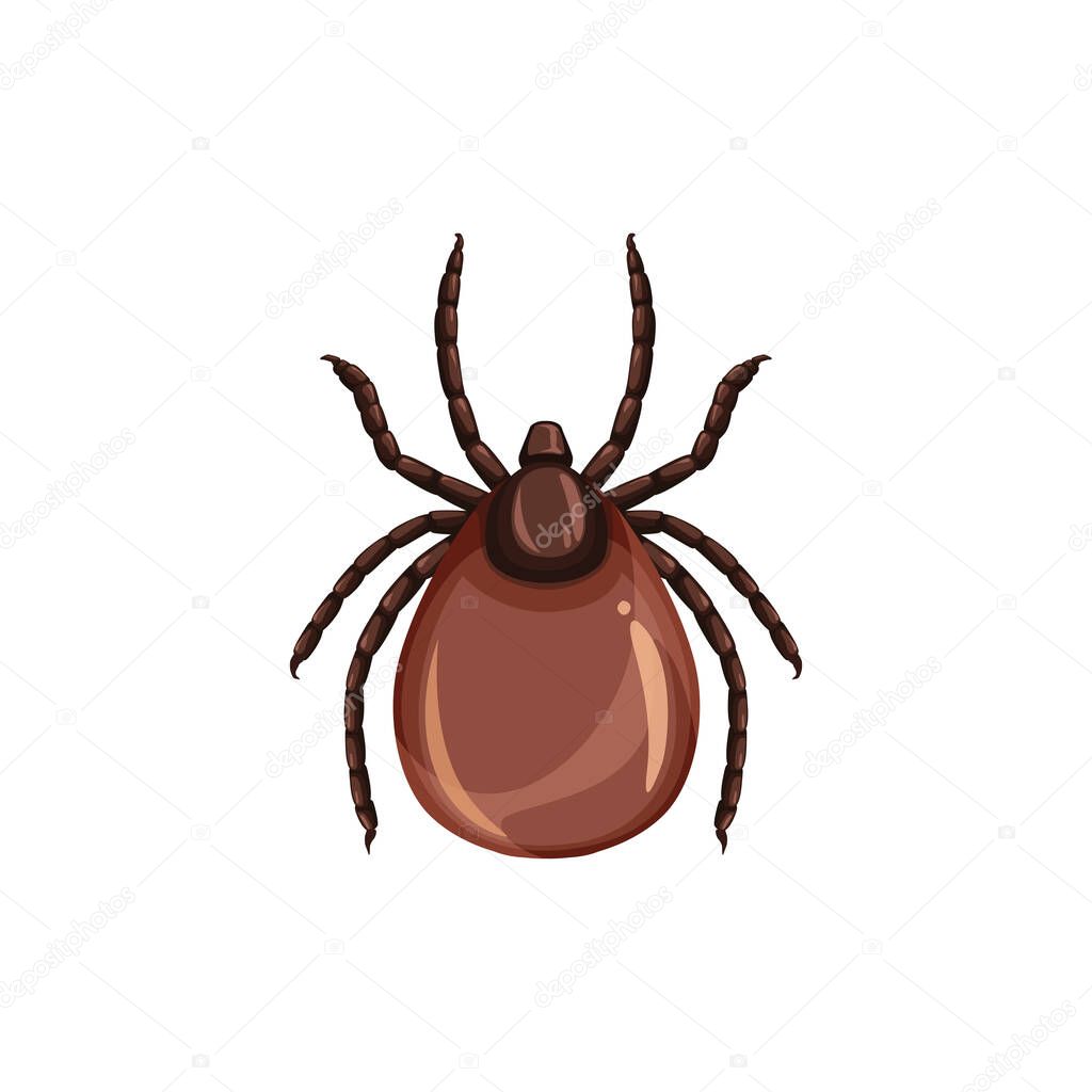 Tick insect icon, pest control, parasites extermination and disinsection service, isolated vector. Tick or mite insect, health sanitary and encephalitis parasite pest control symbol