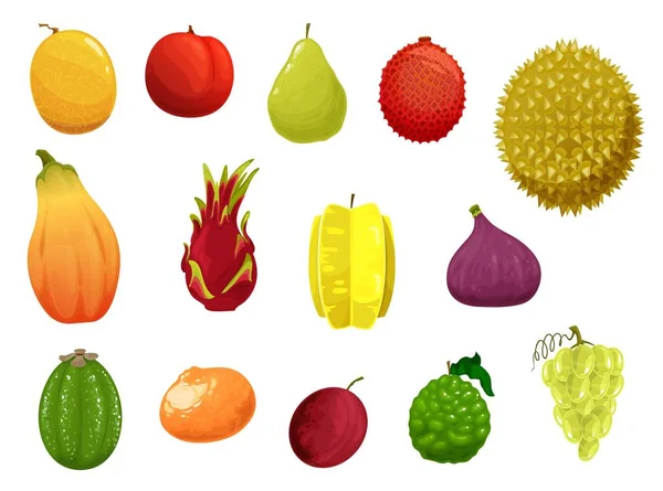 Frutos Vector Iconos Melón Melocotón Pera Lichi Durian Papaya Con — Archivo Imágenes Vectoriales