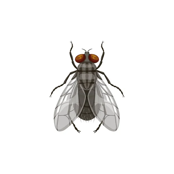 Vlieg Pictogram Ongediertebestrijding Insectenparasiet Vlieg Vector Geïsoleerd Ontsmetting Ontsmetting Uitroeiing — Stockvector