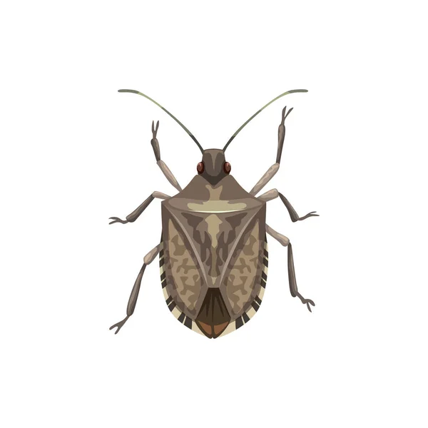 Icono Insecto Escudo Control Plagas Insectos Exterminio Servicio Desinsección Vector — Archivo Imágenes Vectoriales