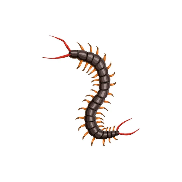 Centipede Icoon Ongediertebestrijding Insecten Ontleding Uitroeiing Vector Centipede Insecten Landbouw — Stockvector