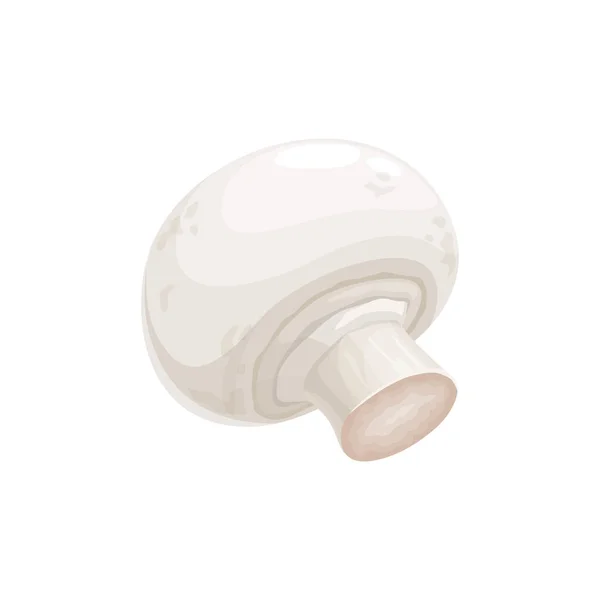 샴페인은 모자가 버섯으로 현실적 아이콘을 Vector Common White Button Mushroom — 스톡 벡터