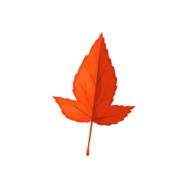 Sonbahar yaprağı ikonu, dikenli ağaç, orman yaprakları, vektör. Alıç ağacının ıssız kırmızı yaprağı, sonbahar ormanı ve bitki yaprakları.