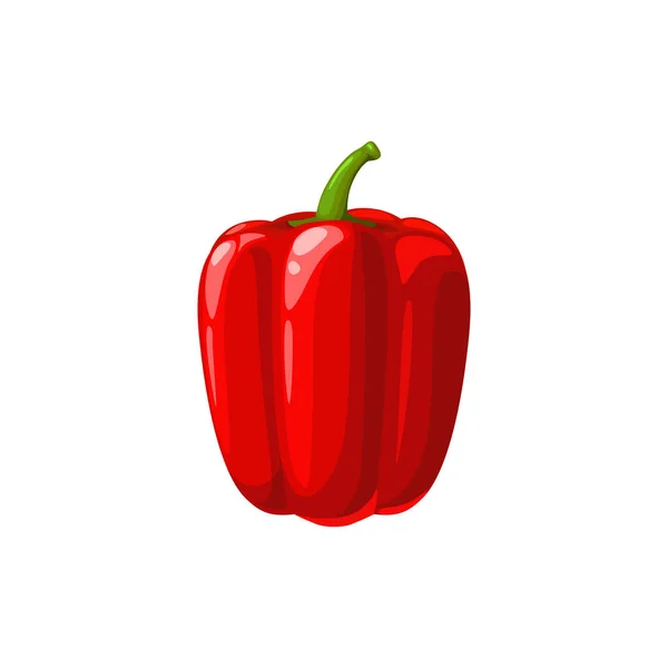 Κόκκινο Bell Pepper Paprika Vector Λαχανικών Φυσικό Φρέσκο Υγιεινό Φαγητό — Διανυσματικό Αρχείο