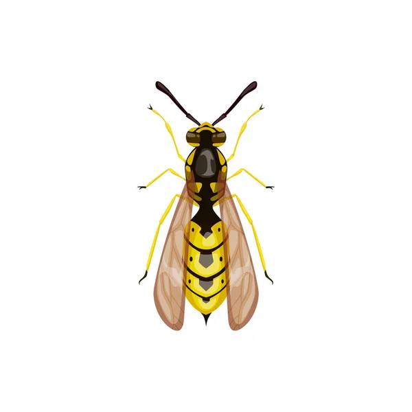 Icono Avispa Parásito Insectos Control Plagas Vector Avispón Aislado Desinsección — Archivo Imágenes Vectoriales