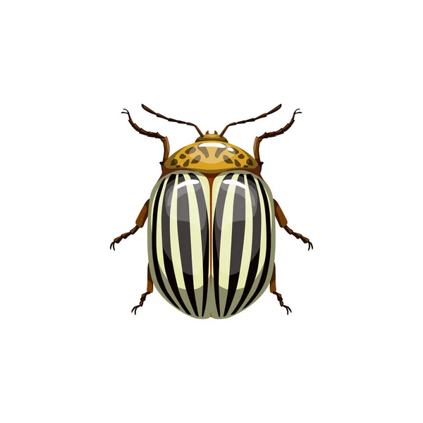 Escarabajo Colorado Insecto Parásito Control Plagas Servicio Desinsección Agrícola Vector — Archivo Imágenes Vectoriales
