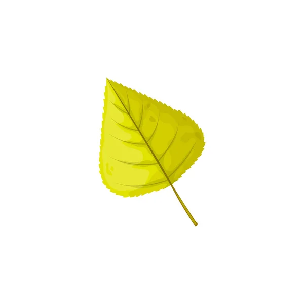 Herbst Birkenblatt Vektorsymbol Laub Umgefallenes Baumblatt Von Grünlicher Farbe Cartoon — Stockvektor