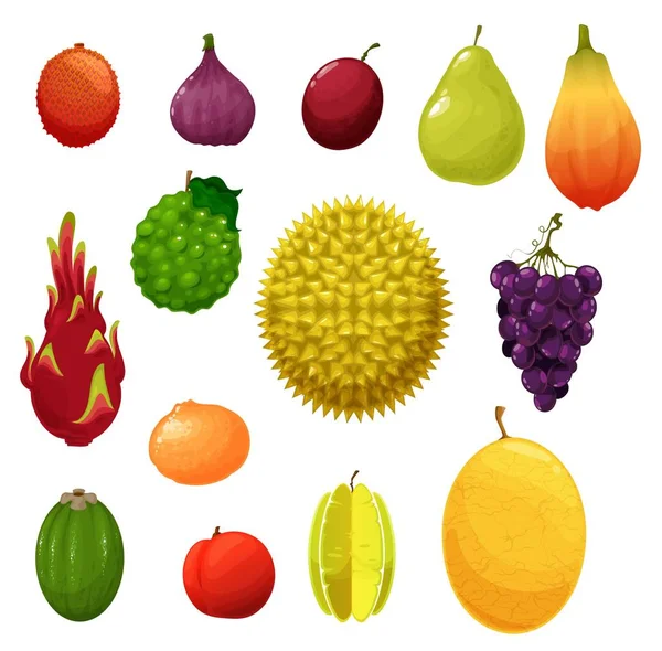 Iconos Frutas Exótico Tropical Cosecha Jardín Granja Vector Manzana Pera — Vector de stock