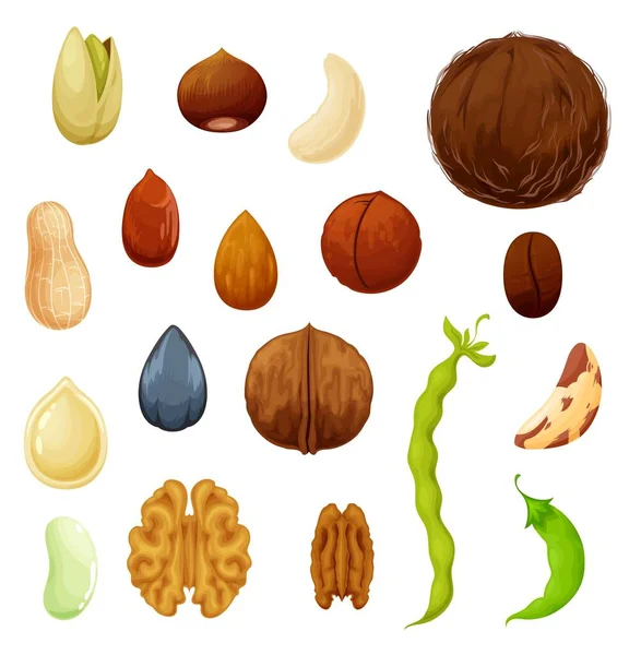 Nueces Frijoles Iconos Anacardo Alimento Natural Almendras Cacahuete Semillas Pistacho — Archivo Imágenes Vectoriales