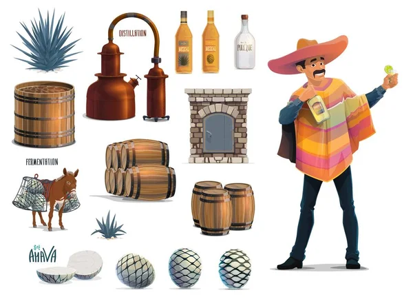 Tequila Making Mexikanska Agave Alkohol Dryck Produktion Vektor Utrustning Ikoner — Stock vektor