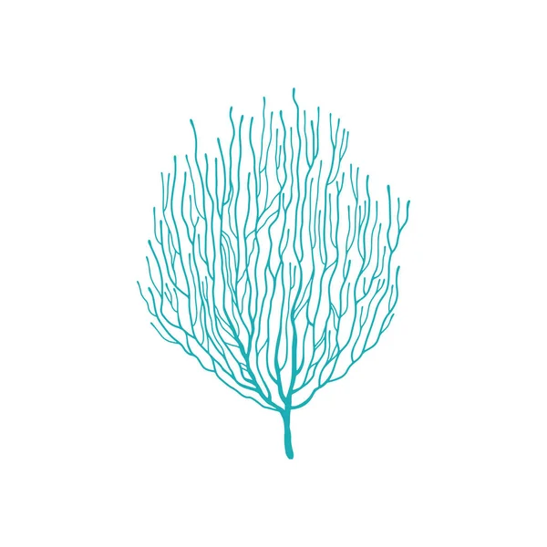 Μαλακό Κοράλλι Μπλε Acropora Κλαδί Απομονωμένη Εικόνα Διάνυσμα Άκρη Φούσκα — Διανυσματικό Αρχείο