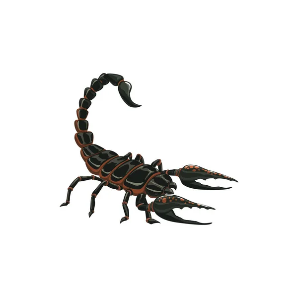 Icône Scorpion Extermination Désinsectisation Des Insectes Nuisibles Vecteur Scorpion Animal — Image vectorielle