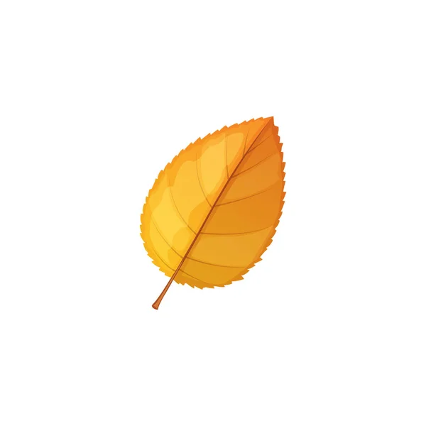 Autumn Shrub Rose Leaf Vector Icon Cartoon Foliage Fallen Tree — Stock Vector