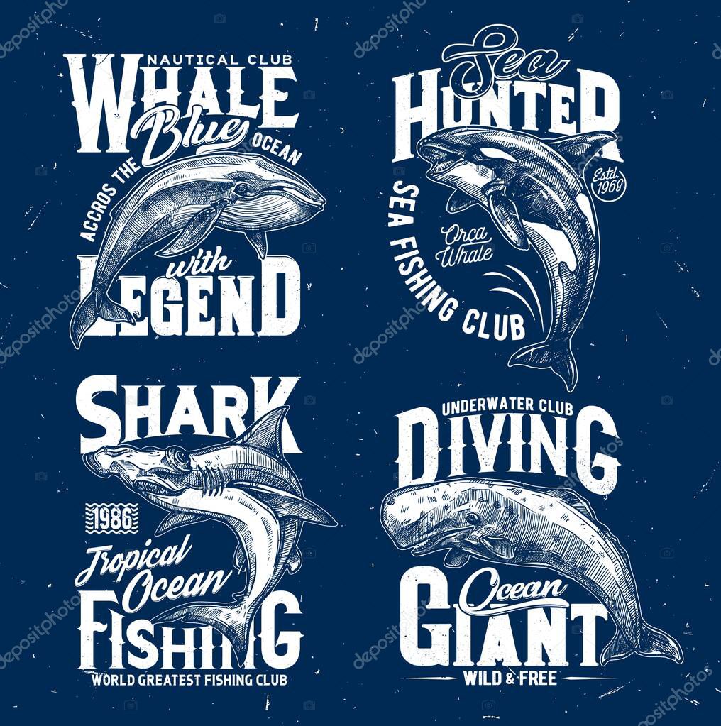 Trophy fishing and ocean diving club t-shirt print template. Blue whale, orca or killer whale and hammerhead shark, cachalot engraved vector. Clothing prints with ocean big mammal and marine predator
