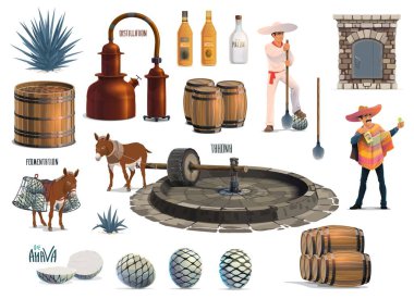 Meksika tekilası alkol üretimi. Vector agave hasat, tuğla fırında pişirme tahona ve eşek özütü, mayalanma ve damıtma ot imalatı, yaşlanma ve şişeleme