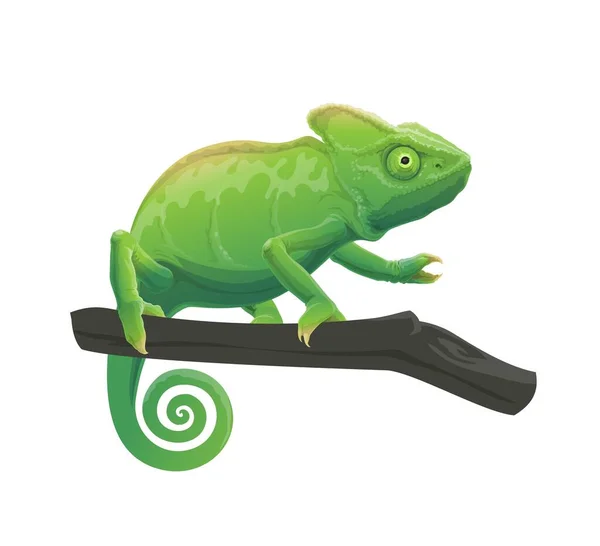 Chameleon Cartoon Lizard Green Skin Sitting Tree Branch Vector Exotic — Stock Vector