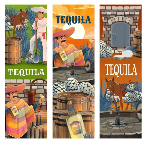 Tequila Mexicaanse Alcohol Drank Productie Spandoeken Vector Mexicaanse Man Sombrero — Stockvector