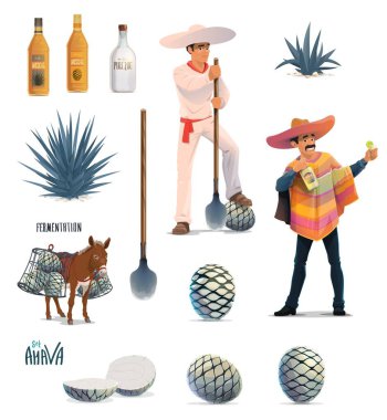 Mavi agava kaktüsü, tekila alkollü içecek şişeleri ve sombrerolu Meksikalı bir adamla birlikte Agave tekila prodüksiyon vektör tasarımı. Çiftçi jimador, eşek, agave pinas ve kakao palalı bıçaklar.