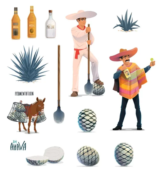 Agave Tequila Produkcji Wektor Projekt Kreskówki Niebieski Agava Kaktusa Butelki — Wektor stockowy