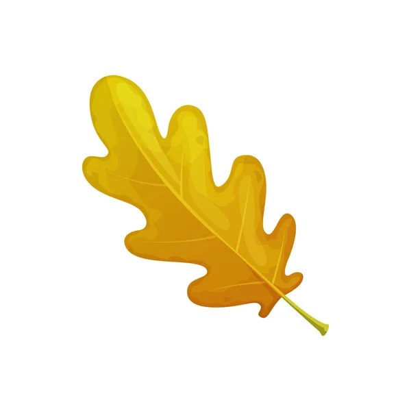 Eichenblatt Herbstbaum Fallen Isolierte Blätter Laub Isolierte Vektor Symbol Herbstliches — Stockvektor