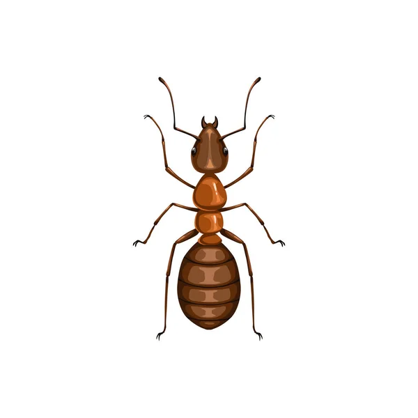 Mierenpictogram Insectenbestrijding Parasieten Uitroeiing Desinsectie Service Geïsoleerde Vector Ant Ongedierte — Stockvector