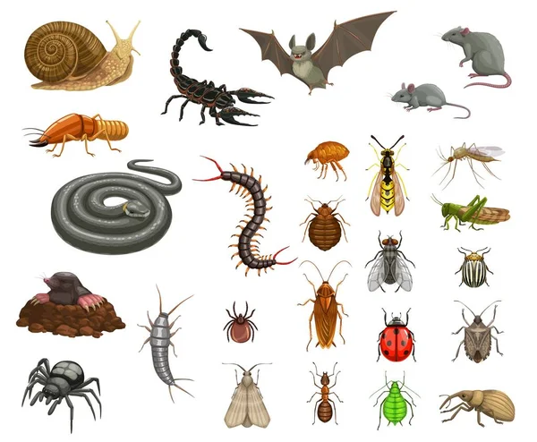 Pests Insects Disinfection Animals Deratization Cartoon Vector Snail Scorpion Bat — Stock Vector