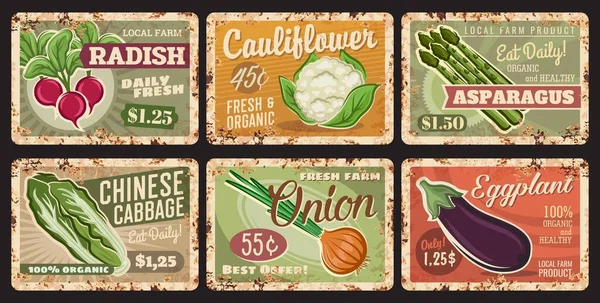 Vegetales Placas Metálicas Oxidadas Etiquetas Precios Vectoriales Vegetales Granja Rábano — Vector de stock