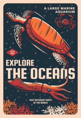 Deniz kaplumbağası, taş yengeç ve deniz akvaryumu çizim vektör pankartıyla dev mürekkep balığı. Okyanus hayvanları ve tropikal derin deniz egzotik yaratıklar, okyanus anaryumu vahşi yaşam sergisi klasik poster