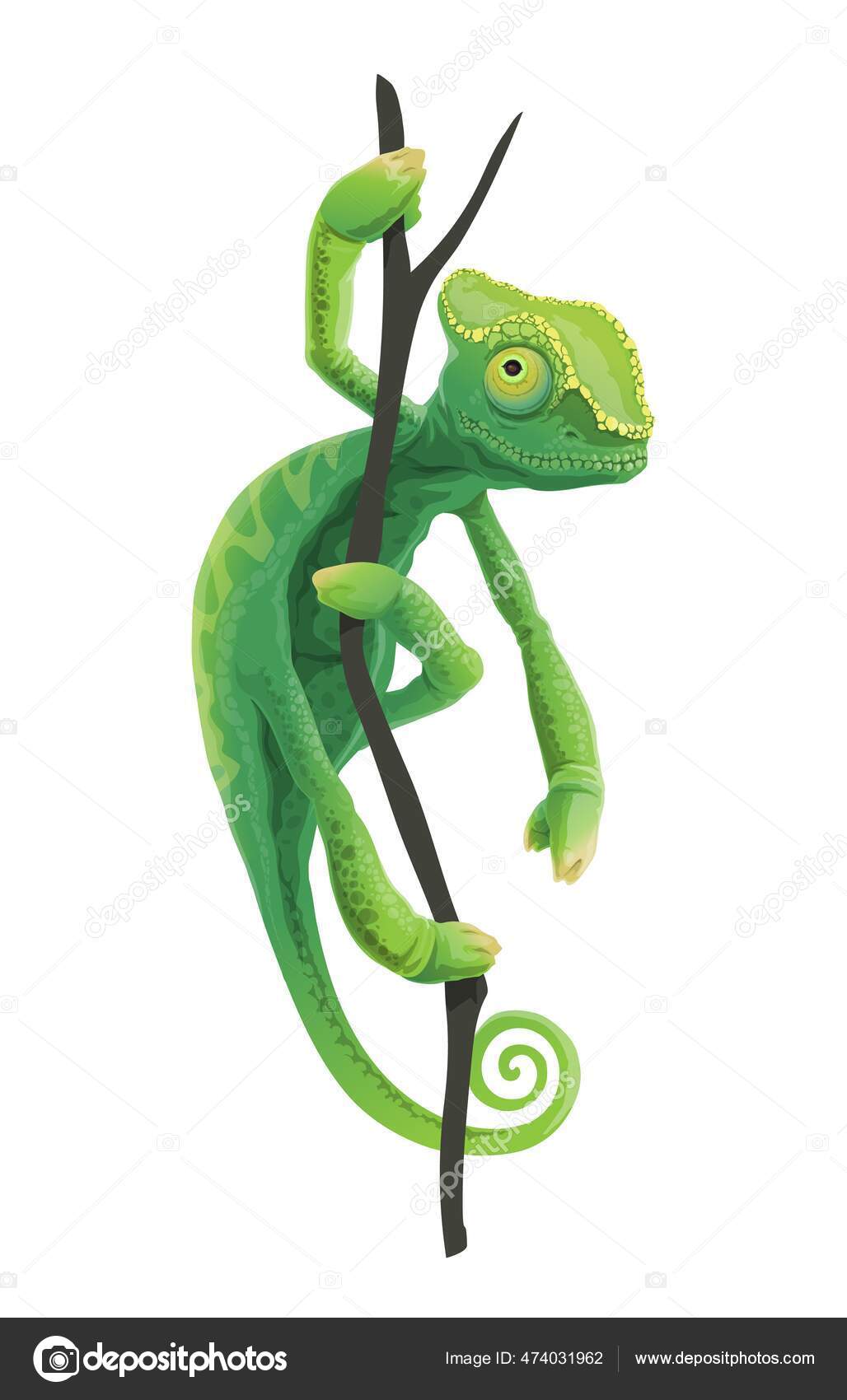 エキゾチックペット人気の陰に潜む違法取引と福祉問題の実態とは……｜ひとしき＠生き物飼育研究室, image size:1028x1700