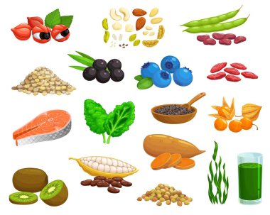 Süper yiyecekler, böğürtlen, sebze ve meyve. Çizgi film acai, yaban mersini ve guarana, kakao, kivi ve kinoa, chia, fasulye ve physalis, goji, somon eti ve lahana, spirulina, tatlı patates ve kenevir tohumu.
