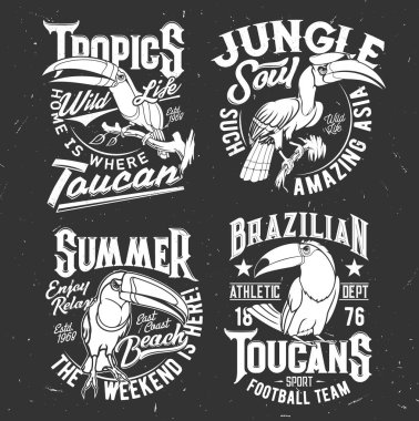 Toucan kuş tişörtü retro baskı şablonu. Futbol takımı, tropikal yaban hayatı ve yaz tatilleri hayvan maskotu, büyük ve gergedan tukanları, ekşi tipografi ve özel yapım giysi baskısı.