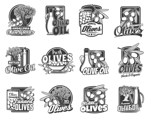 Olives Organic Farm Products Engraved Icons Set Marinaded Bottled Canned — Stock Vector