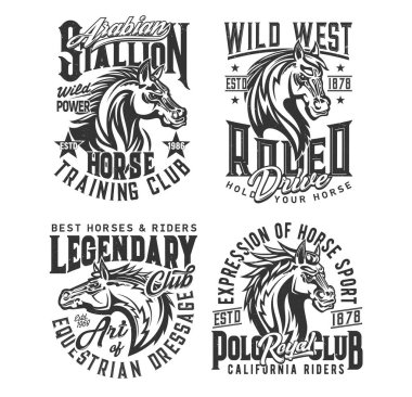 Aygır atı ve vahşi Mustang vektör tişört baskı modelleri. Binicilik sporu, at yarışı, rodeo ve polo klubü özel kıyafet şablonu safkan at, yele ve yıldız grunge rozetleriyle