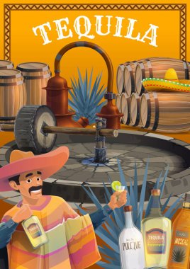 Meksika tekila içeceği üretimi. Sombrero ve pançolu karikatür vektörü, limonlu tekila içiyor, mavi agave bitkisi, tahona değirmeni ve otu hala, fıçılar, mezcal, tekila ve pulgue şişeleri.