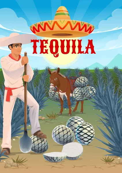 Tequila Agave Trabalhador Plantação Mula Burro Com Corações Pinas Jimador — Vetor de Stock