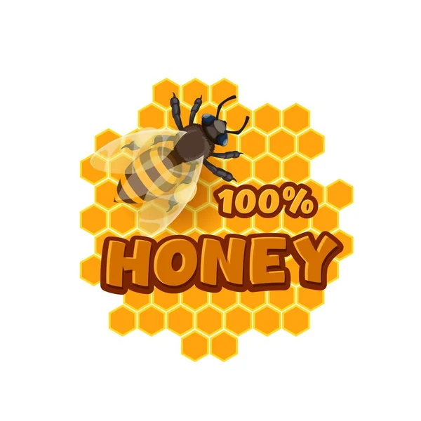 卡通蜂蜜和蜜蜂图标 蚜虫养蜂生产病媒标志与蜜蜂和蜂窝 天然甜食 有机花蜜提取 养蜂场标签从白色背景中分离出来 — 图库矢量图片