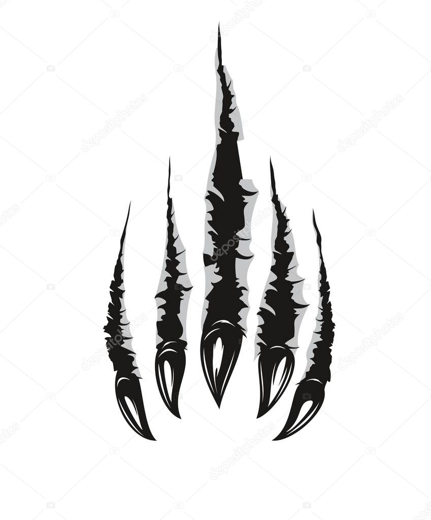 Grizzly bear claw marks and scratches, vector torn cracks of wild animal. Grizzly bear beast paw marks of claws with sharp fissures texture, damaged breaks and hollow scraps, black on white background