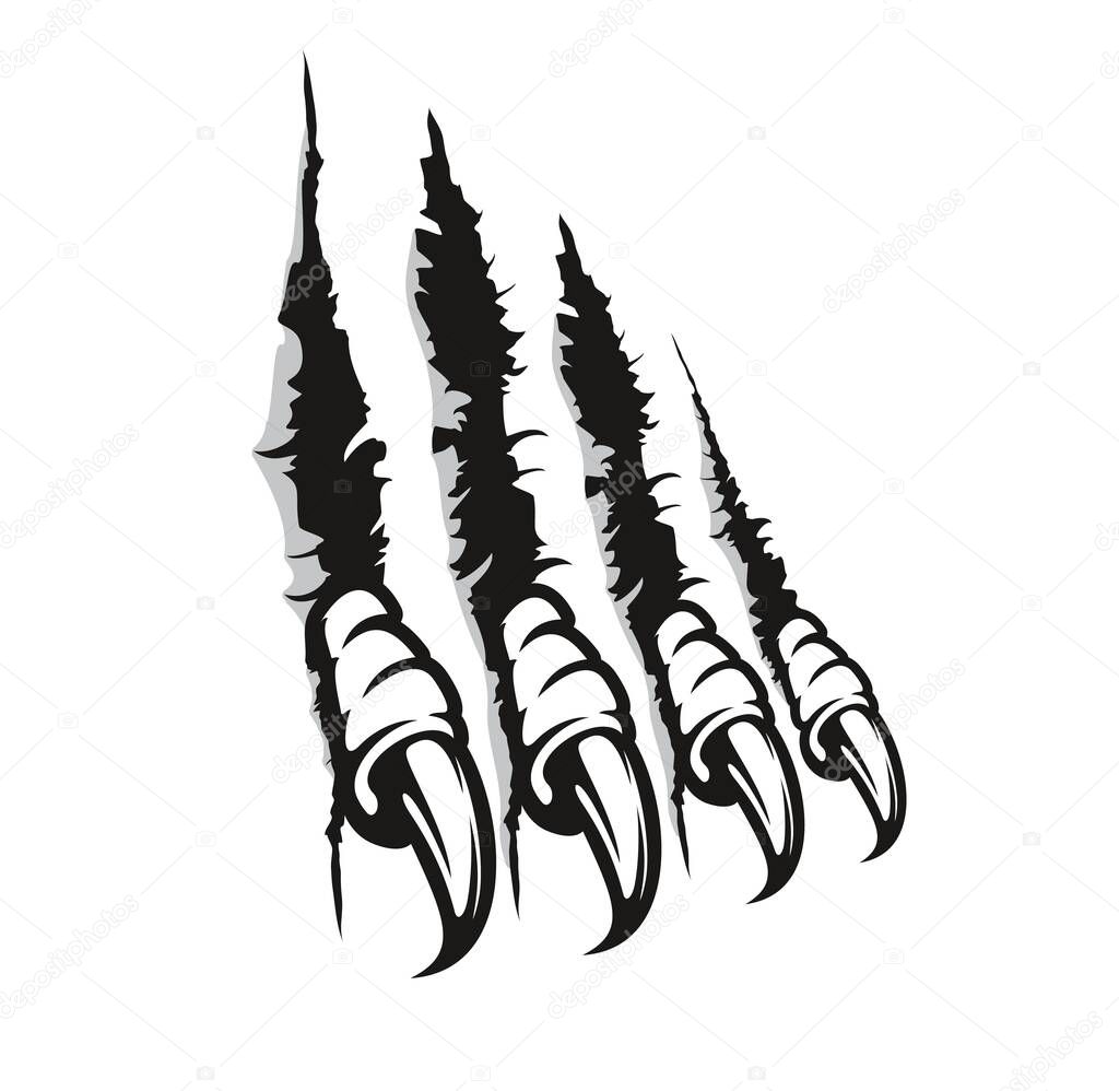 Bird of prey claw marks, scratches, vector monster fingers with long nails tear through paper or wall. Wild animal rips, dragon paw sherds, beast break, four talons traces isolated on white background