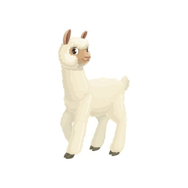 Lama camelid memelisi beyaz yün, şirin çiftlik lamalı hayvan izole düz çizgi film ikonu. Vektör alpaka, guanaco lama kürklü yüz ve kulaklar, uzun boyun ve bacaklar. Vicuna hayvan dağı lama