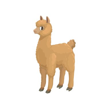 Llama alpaka deve ailesinin karikatür hayvanı, toynaklı quanaco. Vektör bej alpaka ya da lama, Güney Amerika evcilleştirilmiş yük hayvanı. Lama bebek karakteri, guanaco vahşi lama, dağ koyunu