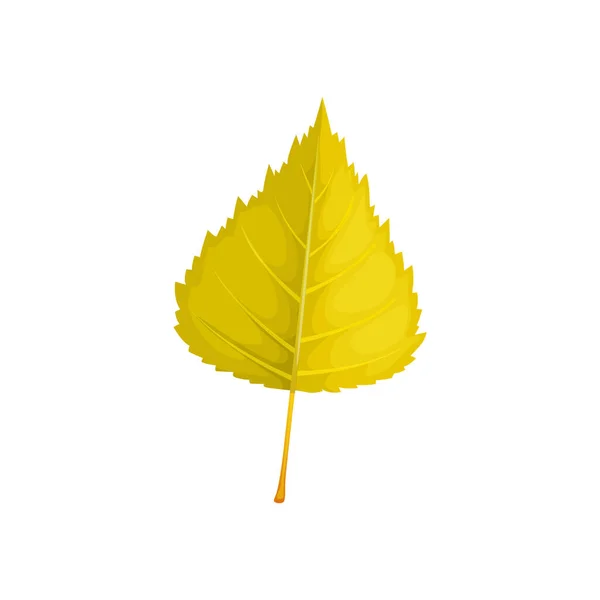 秋の木の葉 葉の孤立ベクトルアイコン ポプラ 白樺やエルムとリンデンの木乾燥緑黄色の葉 秋の季節の森や自然植物 — ストックベクタ