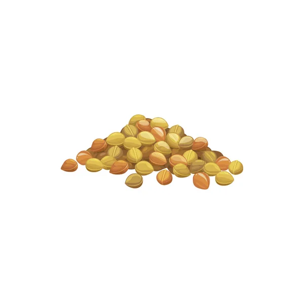 エンドウ豆のヒヨコ豆の分離ヒープの山 ベクトル有機ベジタリアン食品 大豆の山です 健康的な食事のカウ豆 スーパーフード製品 生の調理された乾燥したマメ科植物 野菜の収穫 有機大豆 — ストックベクタ